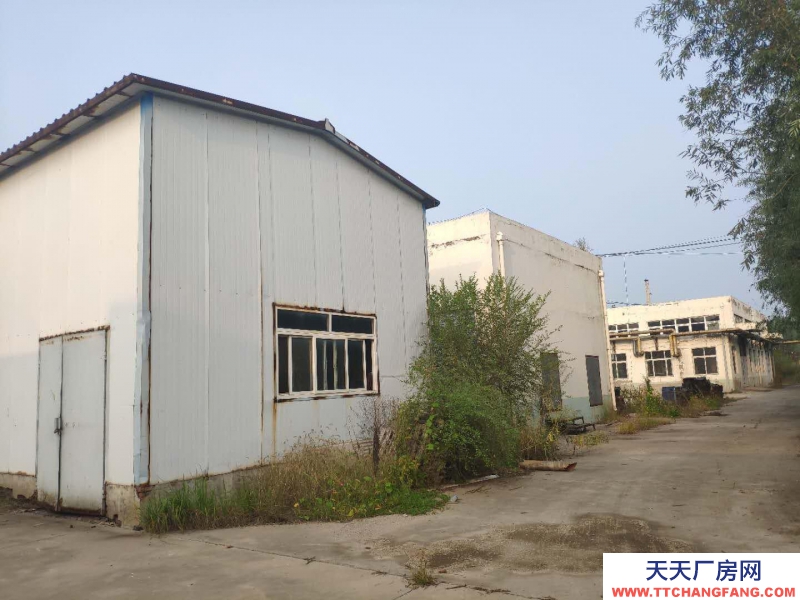 唐山 豐南 出售豐南漢沽管理區(qū)靠近天津的工業(yè)廠房