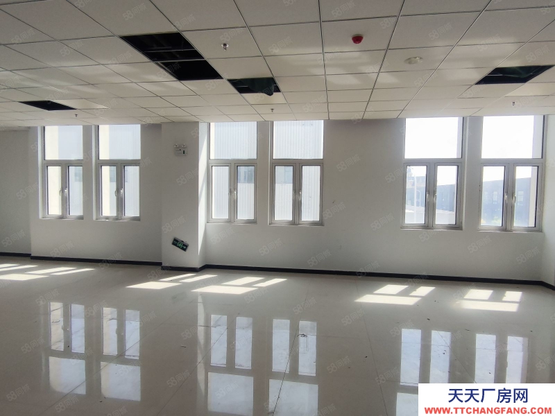 (出租) 天津津南專業化廠房,單層面積1000平園區免費停車 享海教園專項補貼