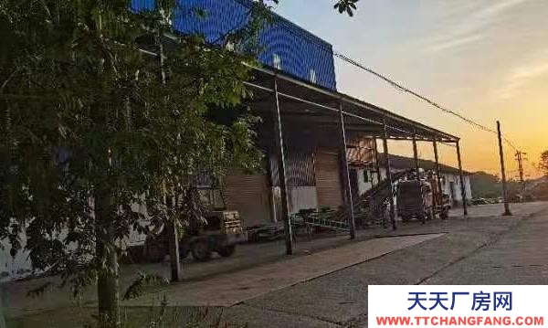 常德市桃源區(qū)三陽港鎮(zhèn)大型烘干廠(含烘干機)、倉庫出售