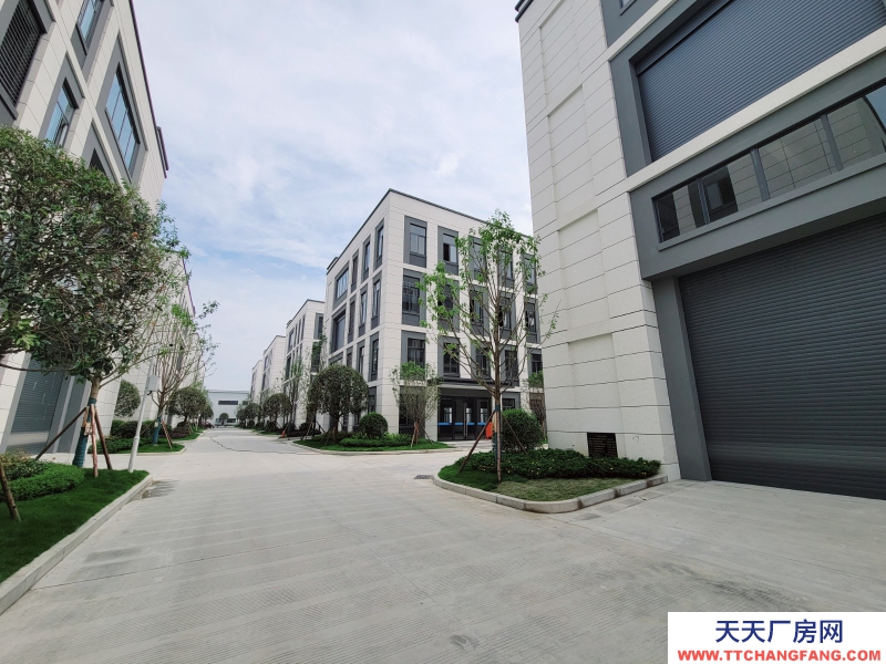 租售青白江全新獨棟廠房 現房隨時可看 非中介