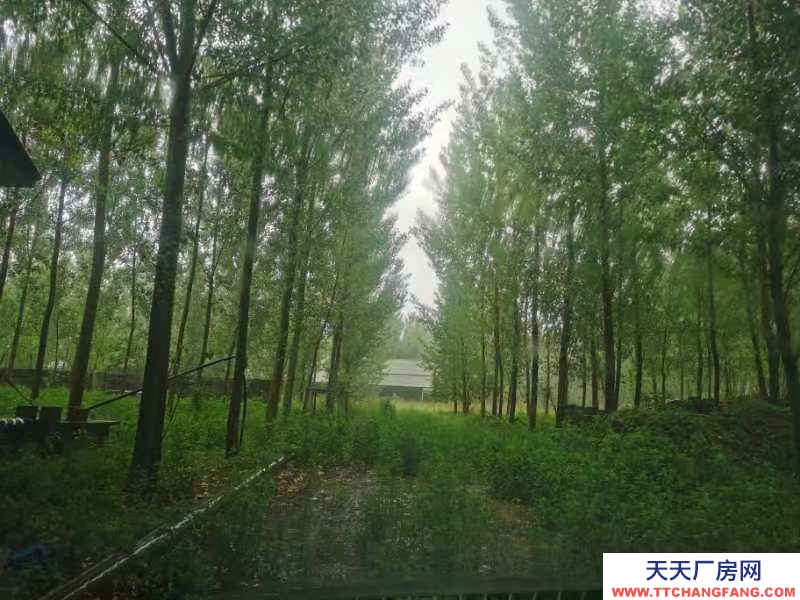 唐山 遷安 內部設施齊全，有廠房庫房，有空地