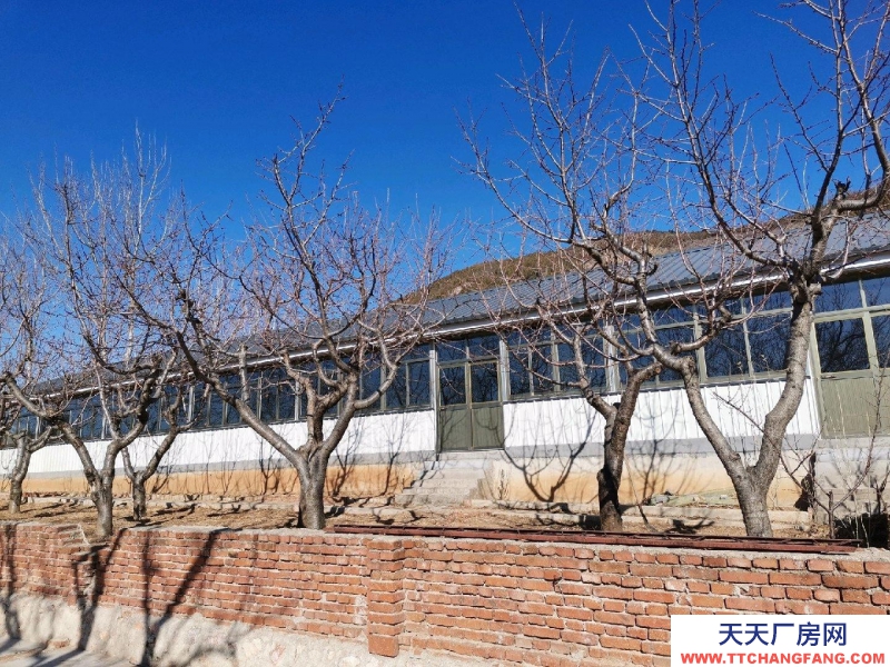 唐山 遷安 18畝大院出租，交通便利，三相電、深水井等設施齊全