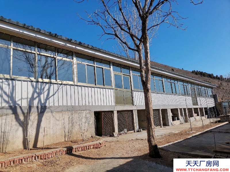 唐山 遷安 18畝大院出租，交通便利，三相電、深水井等設施齊全