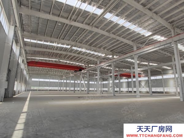 (出租) 天津靜海中德生態城三萬五千平廠房12米層高可分租