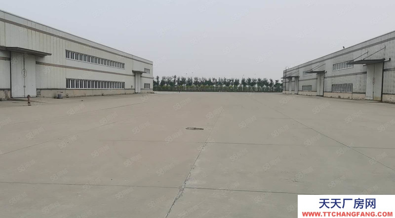 (出租) 天津漢沽濱海漢沽現代產業園3000至60000平米廠房出租