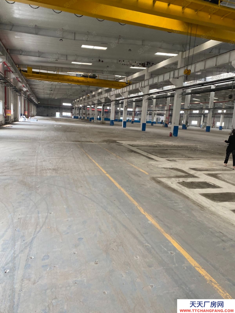 (出租) 天津寧河單層廠房出租 丙二類 緊鄰高速高鐵..