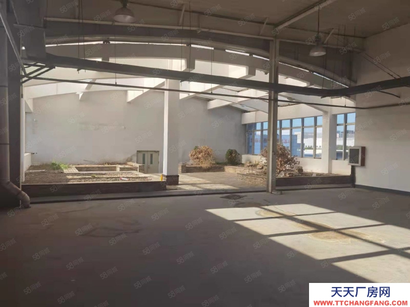 (出售) 天津津南標準單層廠房 挑高10米 近高速快速路 有大環評