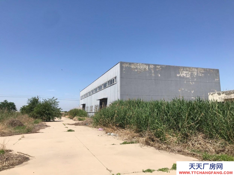 (出售)天津 武清區(qū)經(jīng)濟(jì)區(qū)20畝10畝出售