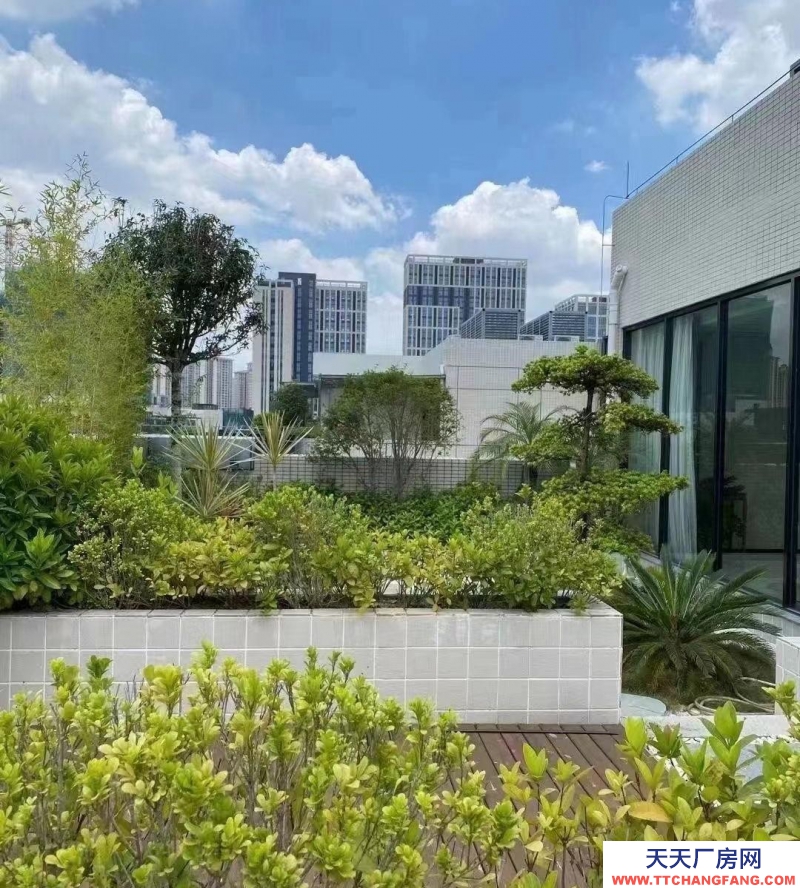 (出售) 天津東麗準(zhǔn)現(xiàn)房！自持廠房出售、產(chǎn)研辦一體地鐵上蓋、7.5米層高送車位