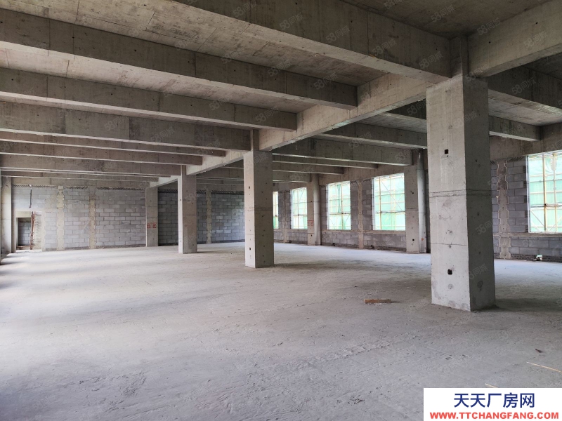 (出售) 天津東麗開發商直售，1200至3000平獨棟雙拼，交房即可辦理房本