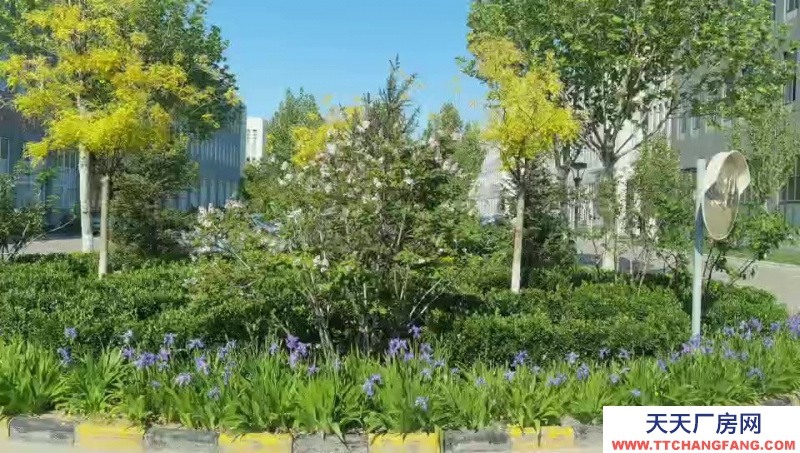 (出售) 天津北辰在建紅本廠房，可貸款，低首付，有環(huán)評(píng)，層高7.2