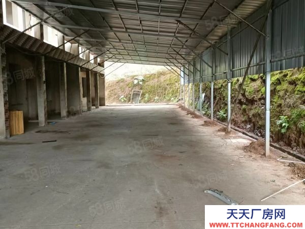 衡陽市雁峰區(qū)業(yè)主自建單層獨棟廠房450平米出租