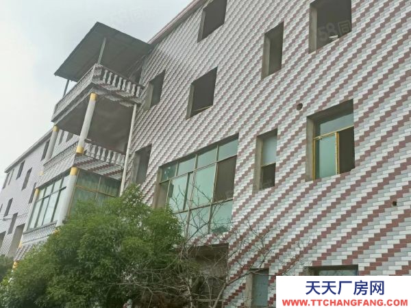 衡陽市雁峰區業主自建單層獨棟廠房450平米出租