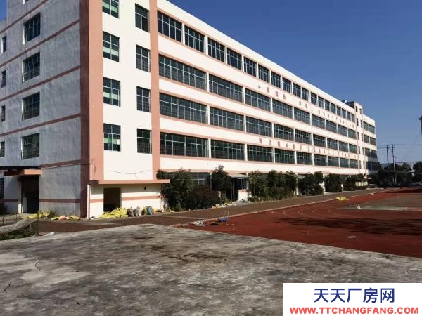 衡陽市雁峰區低價出售或出租，超高性價比