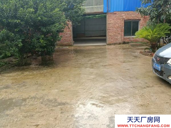 衡陽市石鼓區業主自建單層獨棟廠房1300平出租