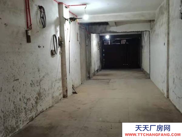 衡陽市石鼓區船山大道新大橋旁 廠房 490平米