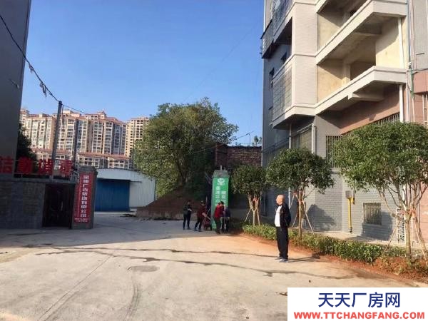 衡陽市蒸湘區(qū) 380/450平米兩種大小廠房及辦公室可供出租湘粵名城旁路寬