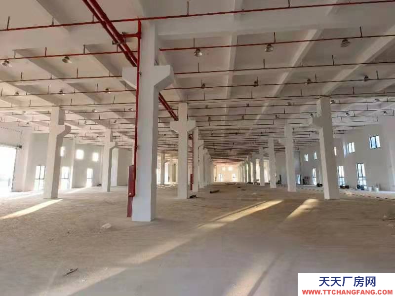 (出售) 宣城郎溪50年產(chǎn)權(quán)挑高8.1米廠房1000平起