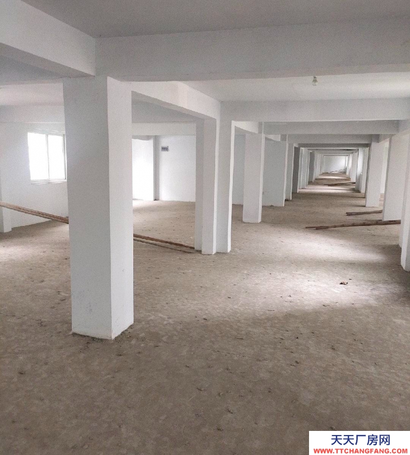 (出租) 池州貴池私人倉庫，中介勿擾，地理位置優越