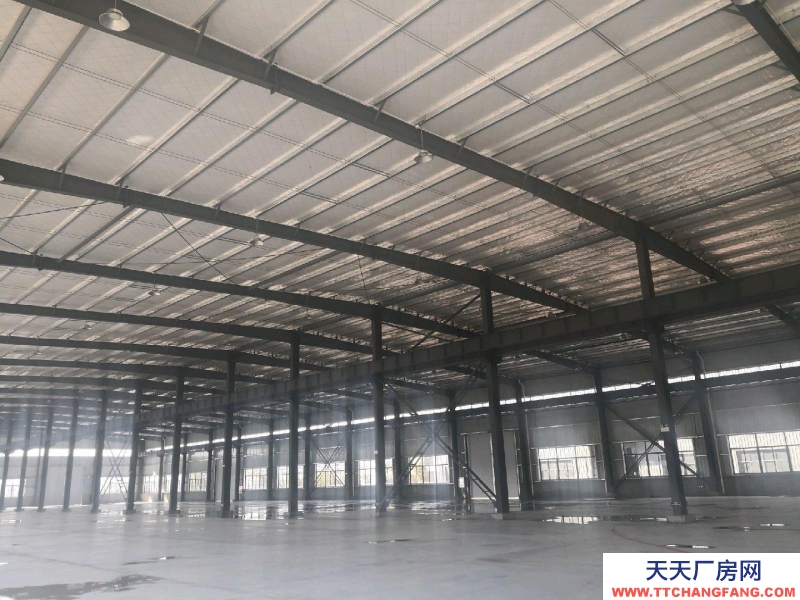 (出租) 池州青陽區全新標準化廠房出租，可整租可分租