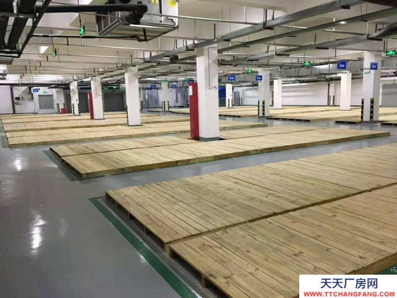 (出租) 亳州譙城區大型標準化倉庫，藥品代儲代運，15000平米