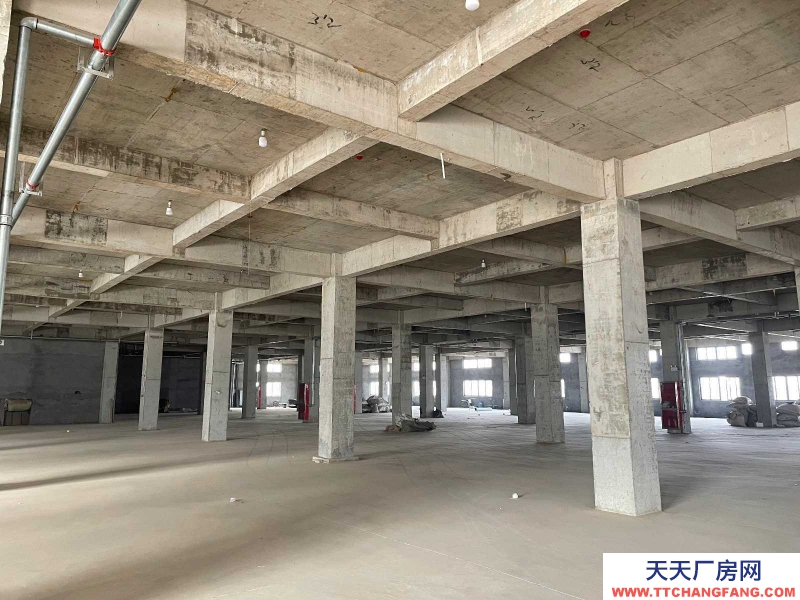 (出租) 亳州譙城辦公樓、倉庫車間（高鐵站附近，地理位置好，可整租可分租）