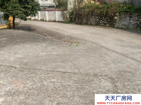 衡陽(yáng)市珠暉區(qū)業(yè)主自建單層廠房800平米出租