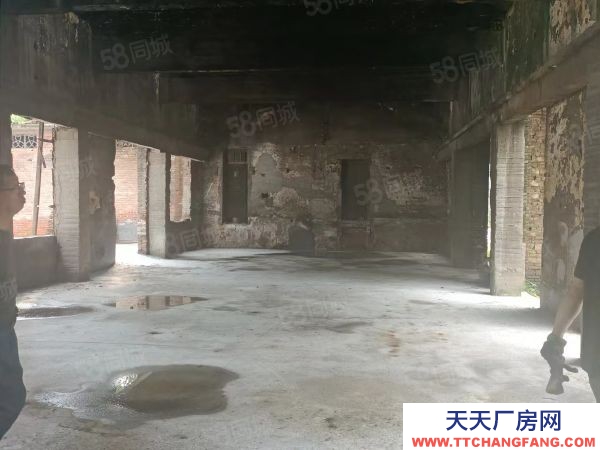衡陽市珠暉區(qū)業(yè)主自建單層獨棟廠房1000平米出租