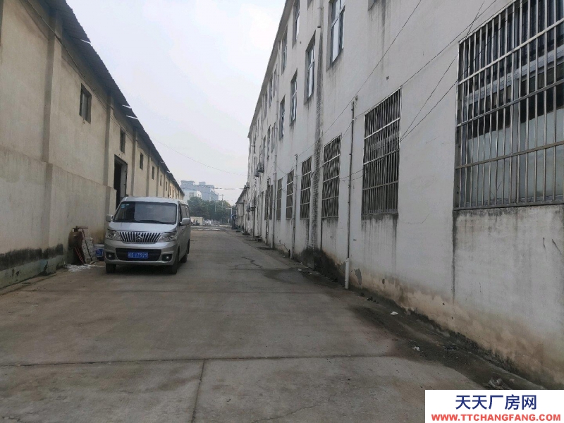 (出租) 亳州蒙城地理位置優越,環境好,出路方便