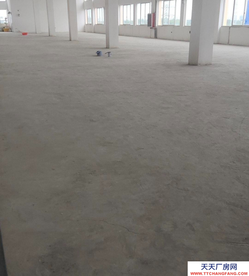 (出租) 六安金安區有電梯，好停車，交通方便