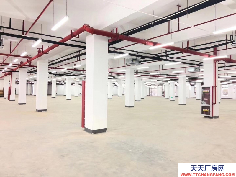 (出租) 六安裕安區青網產業園廠房倉庫辦公室120-2000平