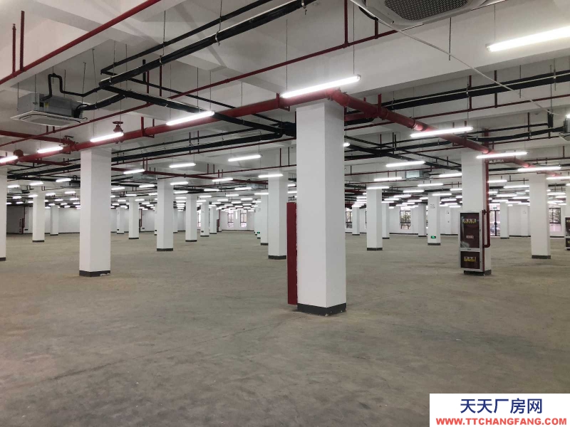 (出租) 六安裕安區青網廠房倉庫40平到3800平房租減免交通方便消防已過