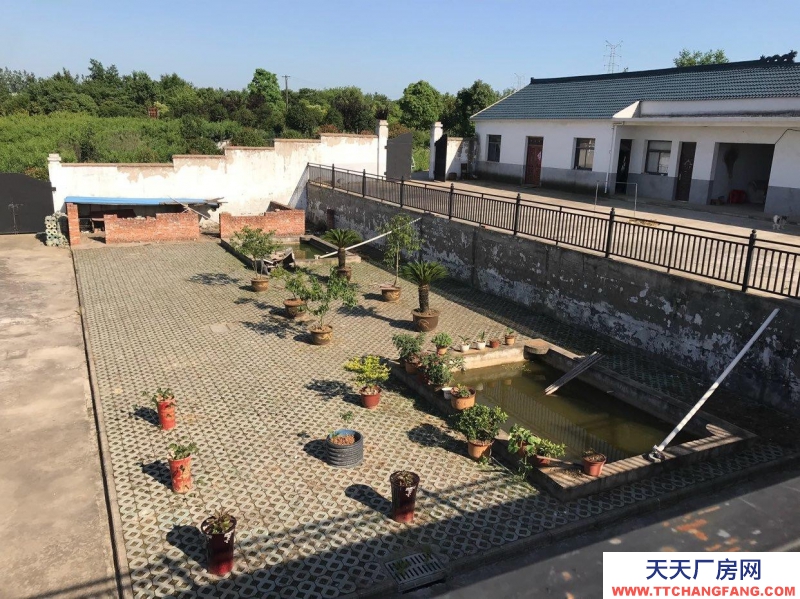 (出租) 六安裕安區(qū)出售或出租農(nóng)家樂(lè)垂釣中心1000平方房子,六口魚(yú)塘。