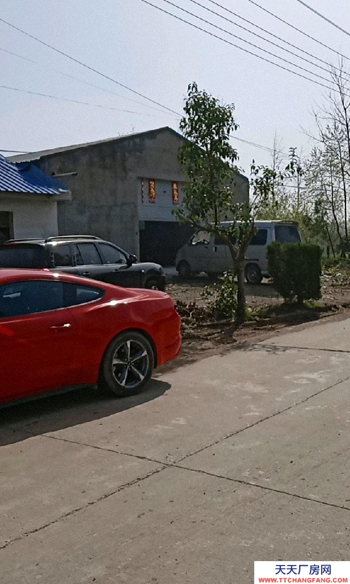 (出租) 六安霍邱倉儲 廠房辦公均可