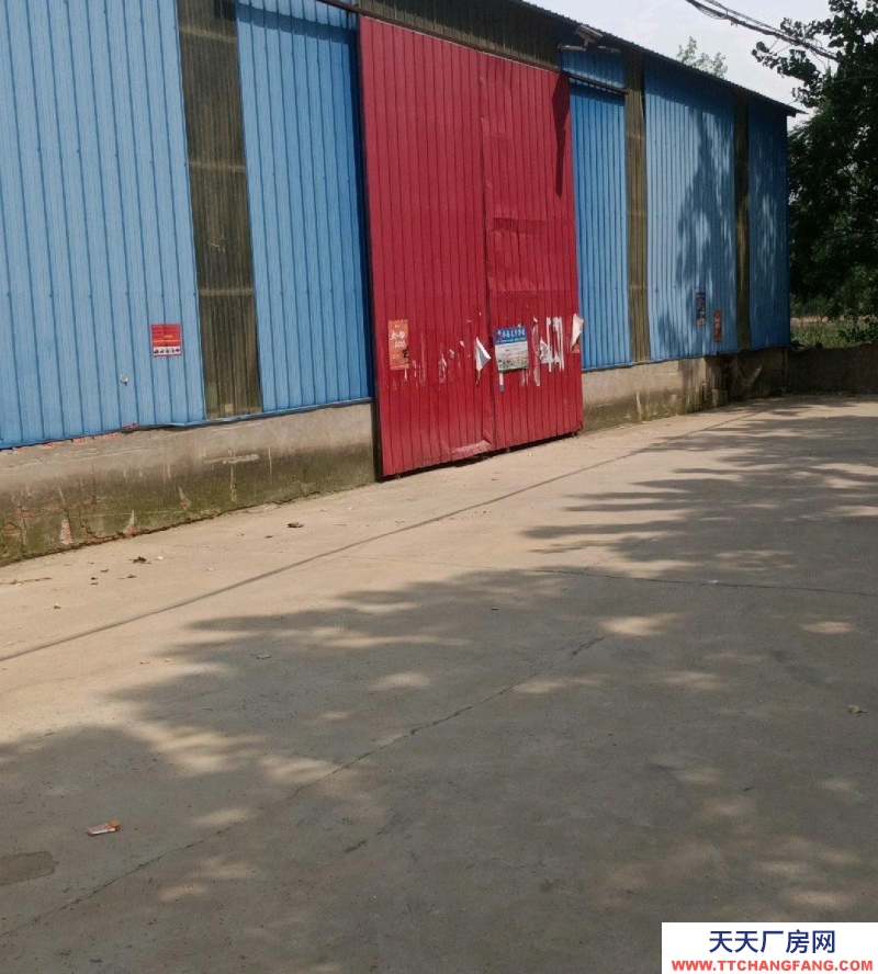 (出租) 六安霍邱在公路旁邊，交通便利