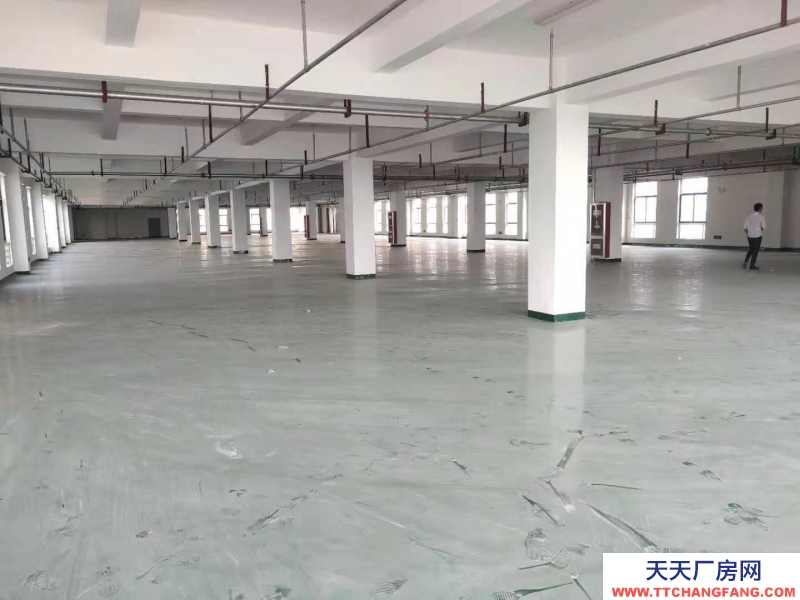 (出租)宿州埇橋 一樓、一樓1250方場地對(duì)外出租