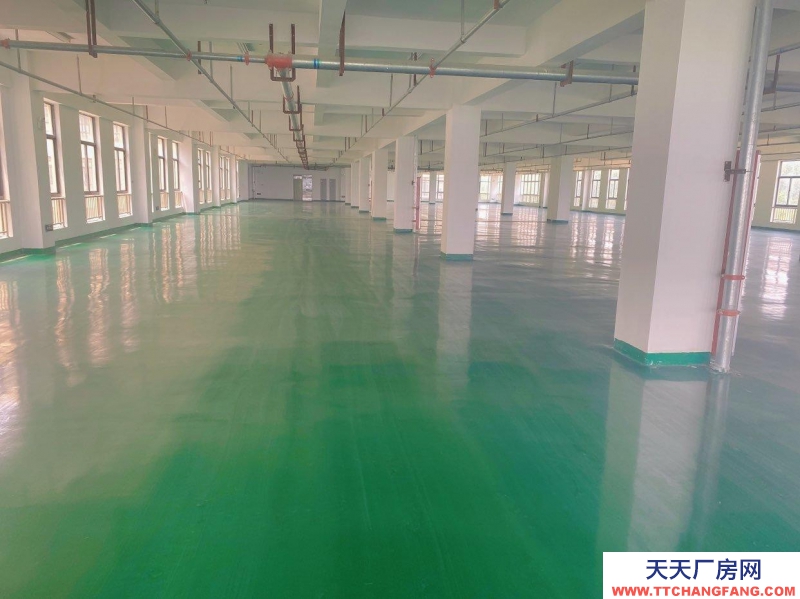 (出租) 宿州埇橋急租1250平廠房倉(cāng)庫(kù)，全新可分割可整租