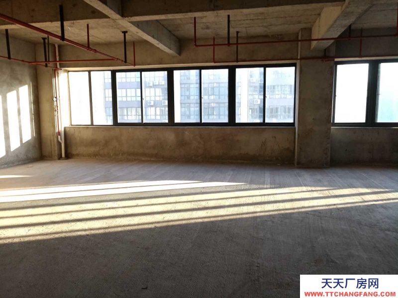 (出租)馬鞍山花山 非中介,秀山軟件園,425平辦公+倉儲,一體化辦公