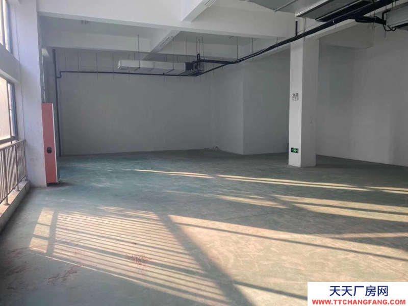 (出租) 馬鞍山雨山萬達(dá)附近抄底價(jià)優(yōu)惠直租240平至500平倉庫好銜接物流送免租