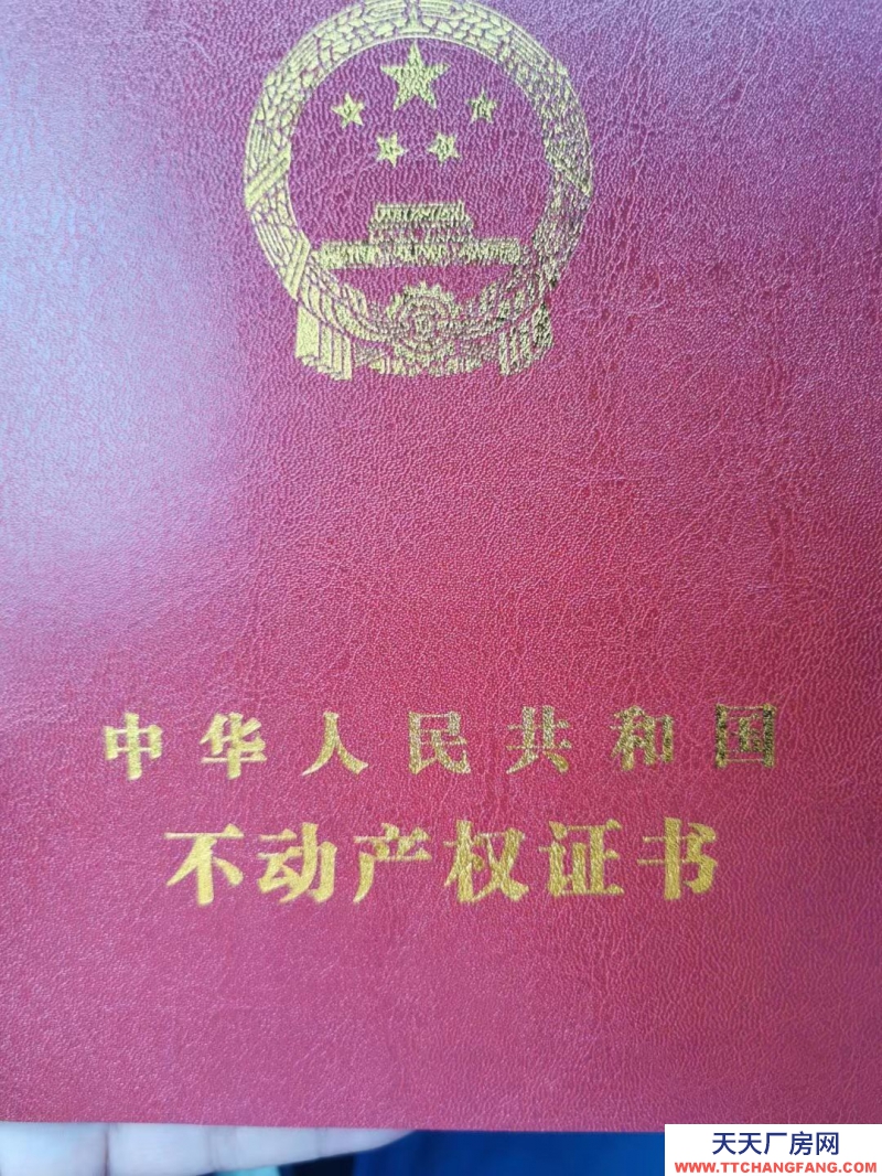 園區(qū)全新獨(dú)棟獨(dú)戶(hù)廠房  可安裝行車(chē)  證件齊全