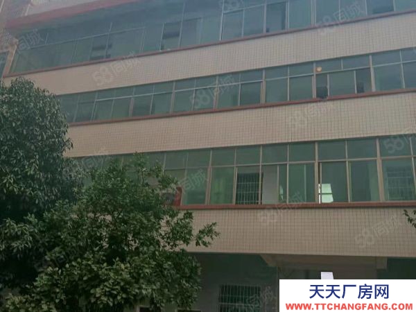 衡陽市衡陽縣 西渡中型廠房,可租可售,價格美麗,方便實用,位置好,配套齊全