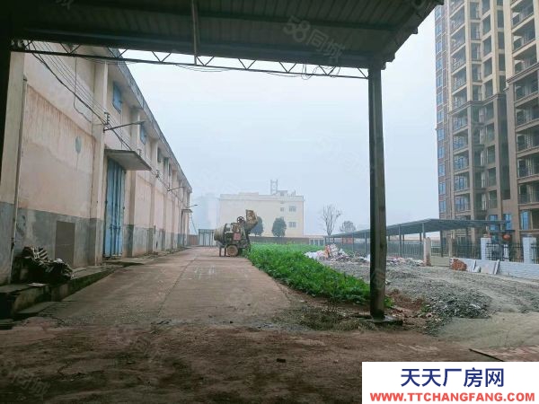 衡陽市衡陽縣 西渡中型廠房，可租可售，價格美麗，方便實用，位置好，配套齊全