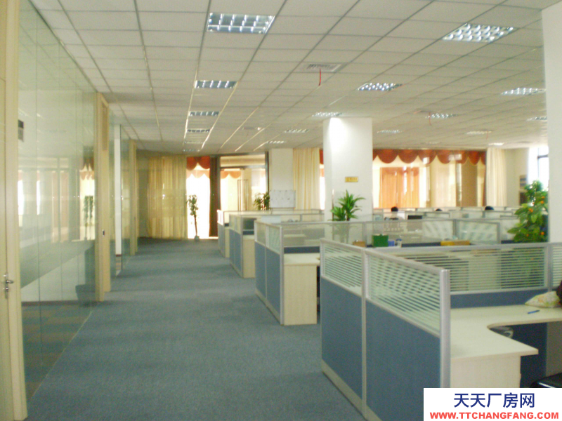 南翔精裝修倉儲/辦公室出租拎包直接入駐隨時等候您的加入