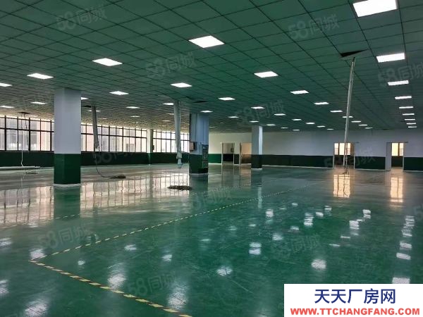 無錫濱湖新區(qū)梅村核心地段2200方小獨棟廠房出售