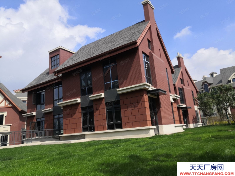 (出租) 成都錦江 獨幢別墅創意樓出租