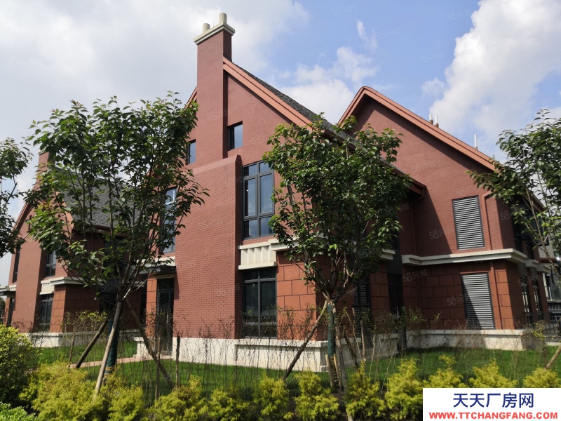 (出租) 成都錦江 獨幢別墅創意樓出租