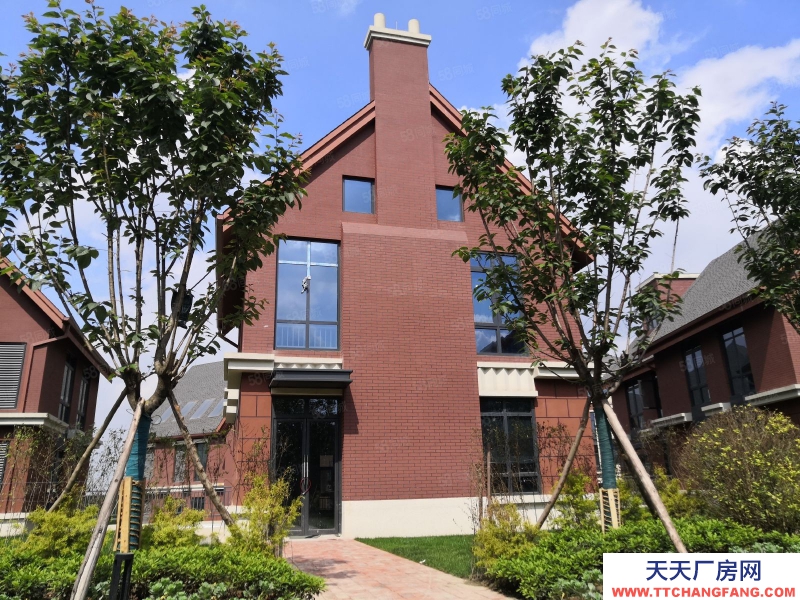 (出租) 成都錦江 獨幢別墅創意樓出租