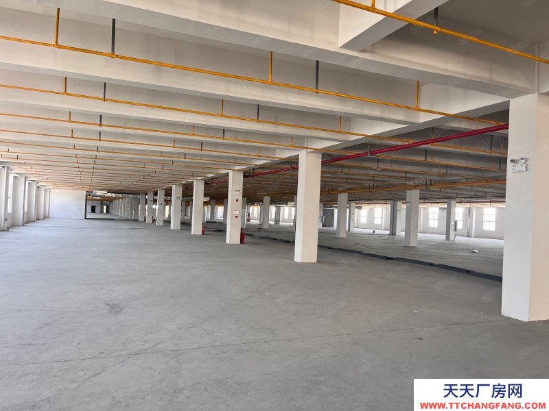 (出租)成都郫都區食品廠房出租,最小分租2000平起