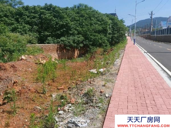 衡陽市祁東縣 廠房出租可售免5年房租