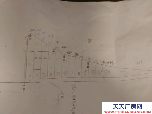 衡陽市祁東縣 廠房出租可售免5年房租